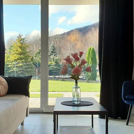 Apartamenty Nad Zylica Przy Deptaku - Dream Apart Szczyrk Extérieur photo